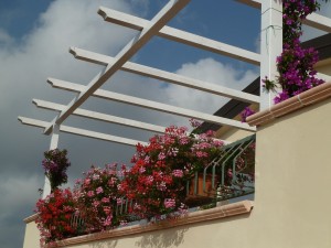 balcony flowers